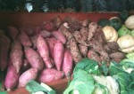 Camote – sweet potatoes