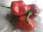 Red pepper