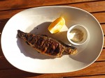 Whole grilled fish