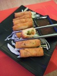 Spring Rolls