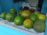 TOP Dominican exotic fruits - avocado