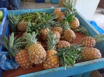 TOP Dominican exotic fruits - pineapples