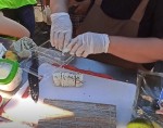 How to make California sushi roll? Step-by-step recipe