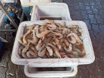 Seafood - Sunday Asian Street food market in Santo Domingo