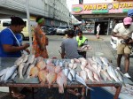Fresh fish - Sunday Asian Street food market in Santo Domingo