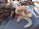 Seafood - Sunday Asian Street food market in Santo Domingo