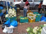 Fresh vegetables - Sunday Asian Street food market in Santo Domingo