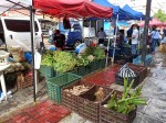 Fresh vegetables - Sunday Asian Street food market in Santo Domingo