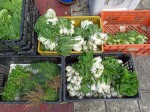 Fresh vegetables - Sunday Asian Street food market in Santo Domingo