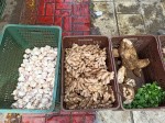 Herbs and spices - Sunday Asian Street food market in Santo Domingo