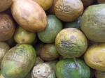 TOP Dominican exotic fruits - chinola TOP Dominican exotic fruits - chinola