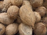 TOP Dominican exotic fruits - coconuts