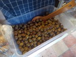 Home-made organic products in Montenegro - olives