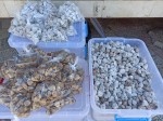 Home-made organic products in Montenegro - dried figs