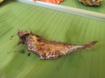 Salted fish for a lunch during the jungle trekking in Thailand