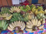 Fresh fruits - Thai bananas