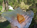 Chicken yellow curry pastry