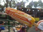 Guatemala Semana Santa - Elote dulce
