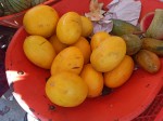 TOP 10 Guatemalan fruits for visiting Tikal and Uaxactun Mayan ruins - Melons