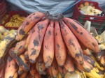 TOP 10 Guatemalan fruits for visiting Tikal and Uaxactun Mayan ruins - Red Bananas