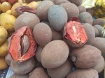 TOP 10 Guatemalan fruits for visiting Tikal and Uaxactun Mayan ruins - Mamey, Sapote