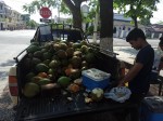TOP 10 Guatemalan fruits for visiting Tikal and Uaxactun Mayan ruins - Coconuts