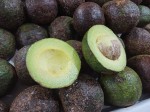 TOP 10 Guatemalan fruits for visiting Tikal and Uaxactun Mayan ruins - Avocados