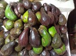 TOP 10 Guatemalan fruits for visiting Tikal and Uaxactun Mayan ruins - Avocados