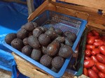 TOP 10 Guatemalan fruits for visiting Tikal and Uaxactun Mayan ruins - Avocados