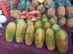 TOP 10 Guatemalan fruits for visiting Tikal and Uaxactun Mayan ruins - Papayas