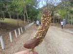 Guatemala Semana Santa - Choco-banana