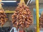 Fresh dates from Tunisia