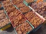 Fresh dates from Tunisia
