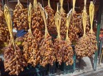 Fresh dates in Tunisia