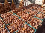 Fresh dates from Tunisia