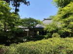 Meigetsu-in - Hondogo Garden