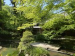 Meigetsu-in - Hondogo Garden