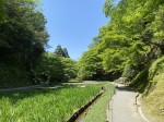 Meigetsu-in - Hondogo Garden
