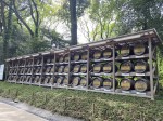 Meiji Jingu - Consecrated Wine Barrels