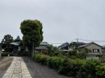 Discovering gems and cultural sights of Yanaka during a nice stroll