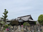 Discovering gems and cultural sights of Yanaka during a nice stroll