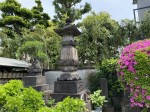 Discovering gems and cultural sights of Yanaka during a nice stroll