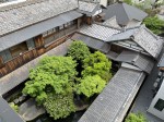 Discovering gems and cultural sights of Yanaka during a nice stroll