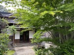 Discovering gems and cultural sights of Yanaka during a nice stroll
