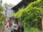 Discovering gems and cultural sights of Yanaka during a nice stroll