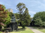 Discovering gems and cultural sights of Yanaka during a nice stroll