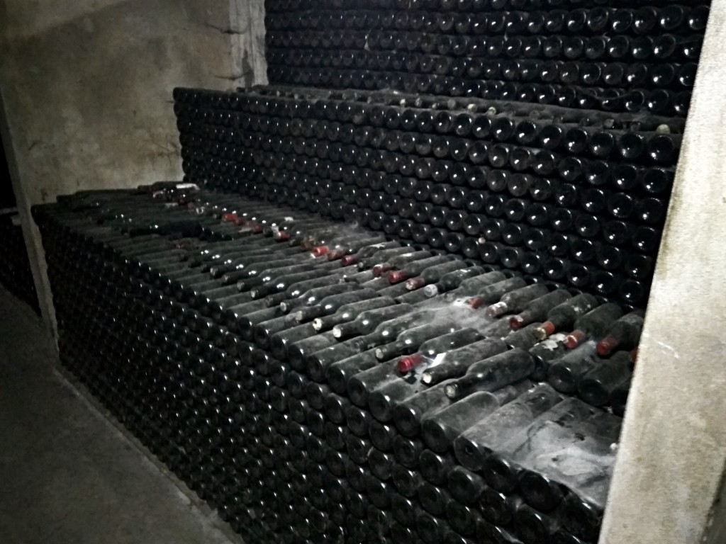 Château Musar - cellars with wine bottles covered by cobwebs.