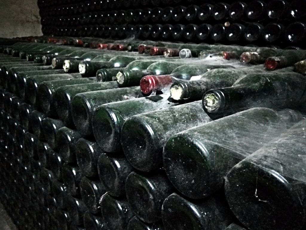 Château Musar - cellars with wine bottles covered by cobwebs.