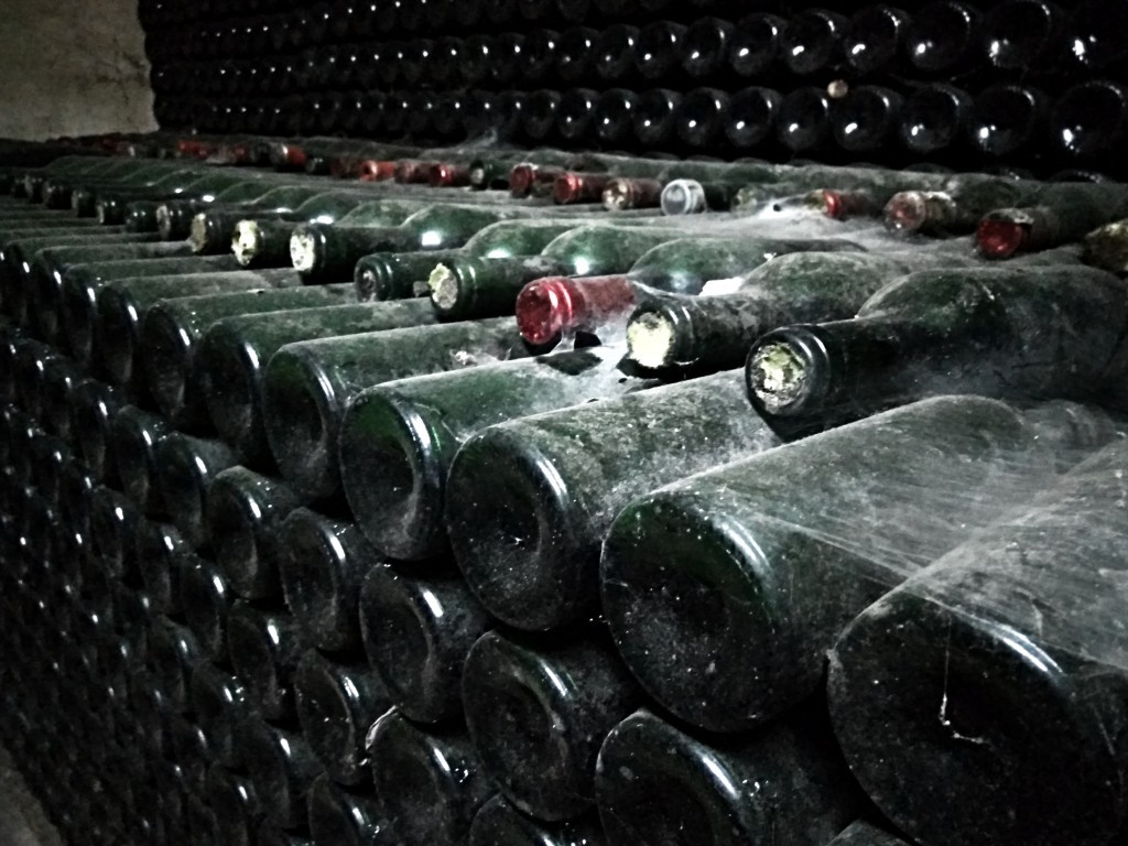 Château Musar - cellars with wine bottles covered by cobwebs. Château Musar - cellars with wine bottles covered by cobwebs.