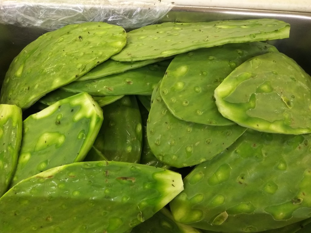 Nopal - prickly pear. Nopal - prickly pear.